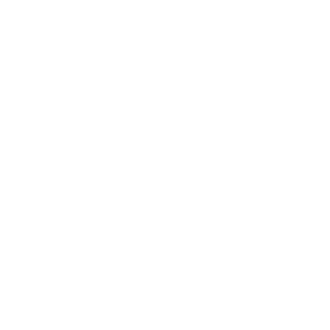 Bandit 502